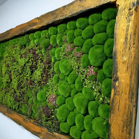 דירה Dorobanti *