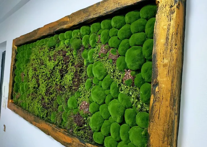 Appartement Dorobanti *